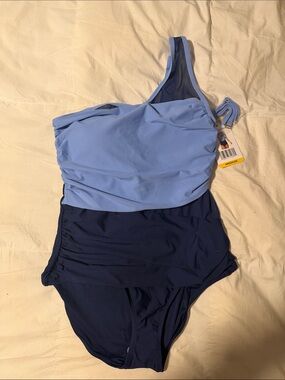 Anne Cole One Shoulder Colorblock Mesh One Piece Swimsuit M